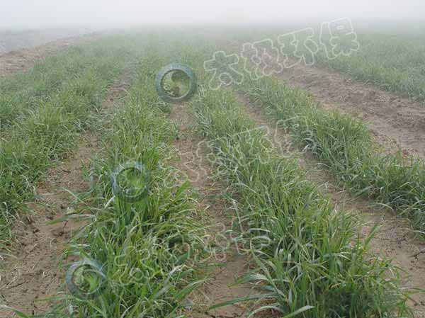 太極|環保|脫硫|脫銷